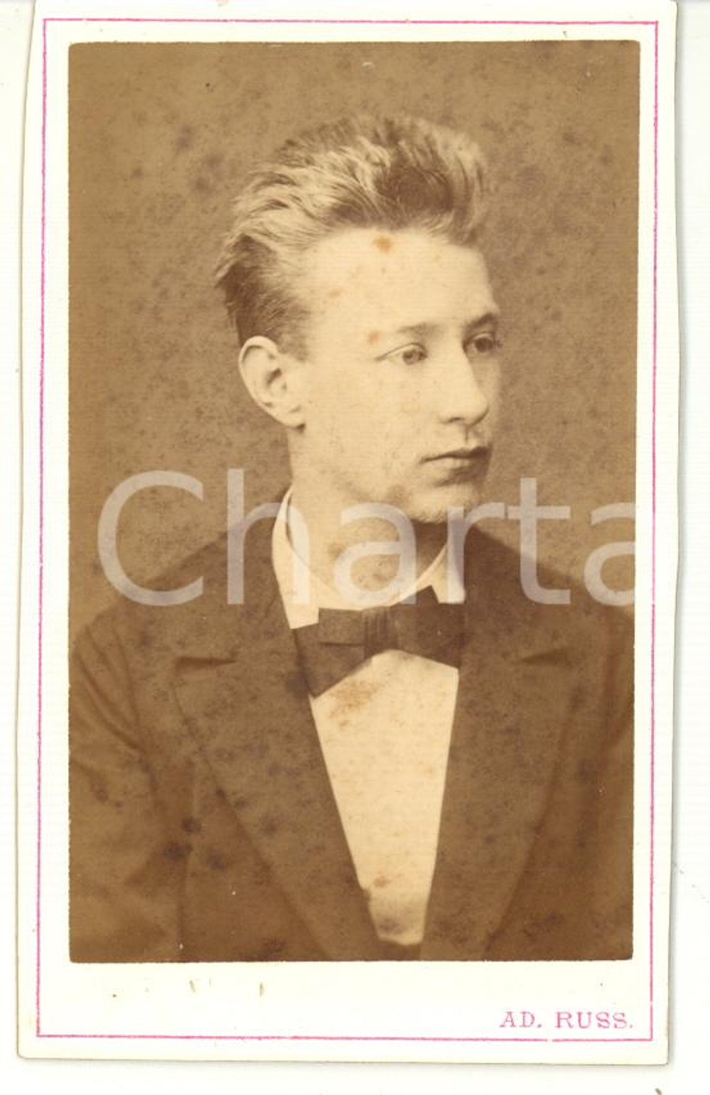 Fotografia d epoca originale 1880 ca HRADEC KRALOVE Ritratto di giovane con cravattino Foto RUSS  CDV 1