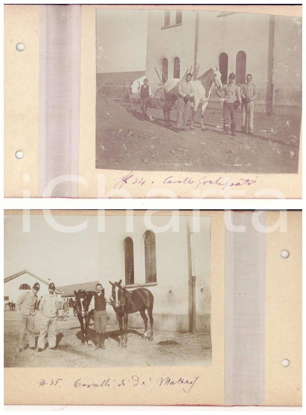 Fotografia d epoca originale 1898 LOMBARDIA Volontari Reggimenti CAVALLERIA  Cavalli  Lotto 2 foto 1