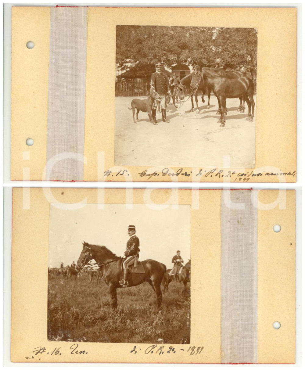 Fotografia d epoca originale 1899 PIEMONTE Grandi Manovre  Ufficiali CAVALLERIA con cani e cavalli  2 Foto 1
