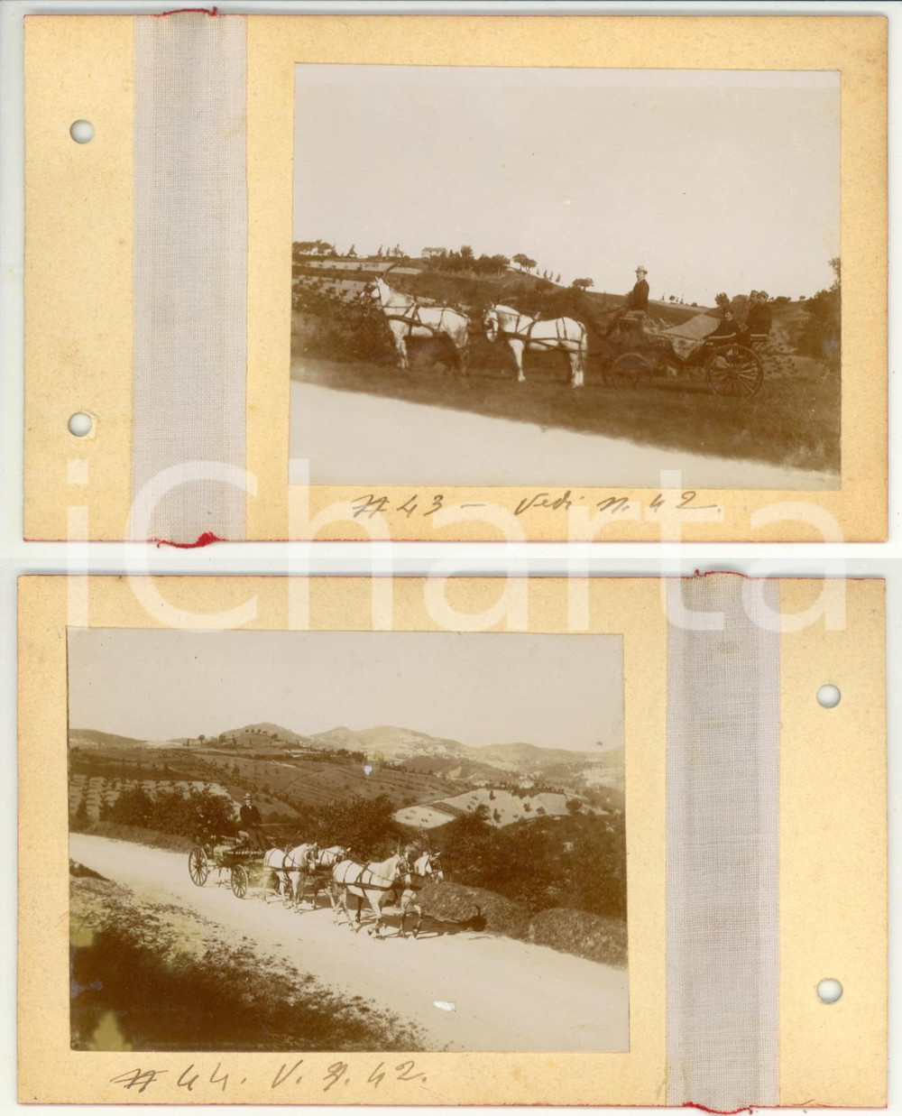 Fotografia d epoca originale 1900 URBINO Ufficiali di CAVALLERIA su tiro a quattro  Lotto 2 foto VINTAGE 1