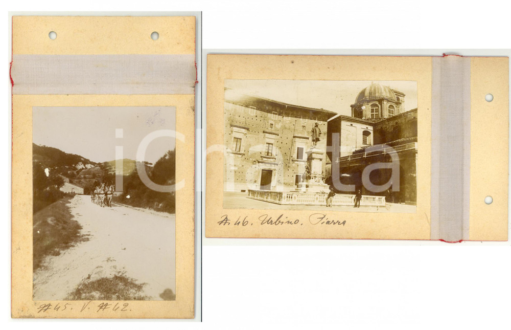 Fotografia d epoca originale 1900 URBINO Tiro a quattro in campagna  Piazza Rinascimento  Lotto 2 foto 1