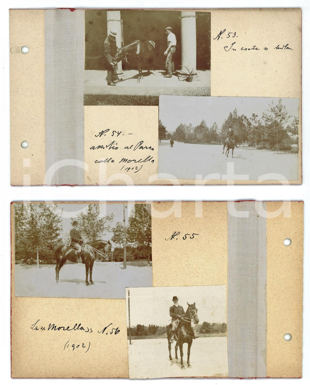 Fotografia d epoca originale 1902 MILANO Cavallo in corte  MONZA Una cavalcata al parco  Lotto 4 Foto 1