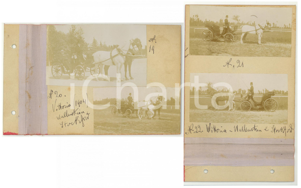 Fotografia d epoca originale 1904 LANZO INTELVI Ritratto di cavalli con i loro calessi  Lotto 4 foto VINTAGE 1