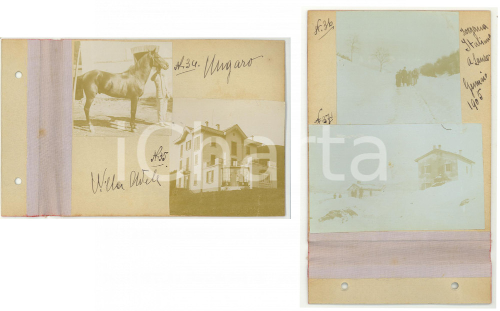 1904 /1905 LANZO D'INTELVI Cavallo / Villa ADELE / Dogana nella neve - 4 foto
