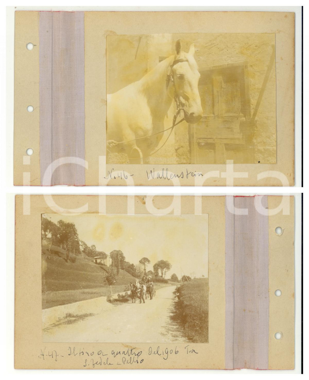 Fotografia d epoca originale 1905 /1906 LANZO INTELVI Cavallo  Tiro a quattro tra SAN FEDELE e PELLIO 2 foto 1