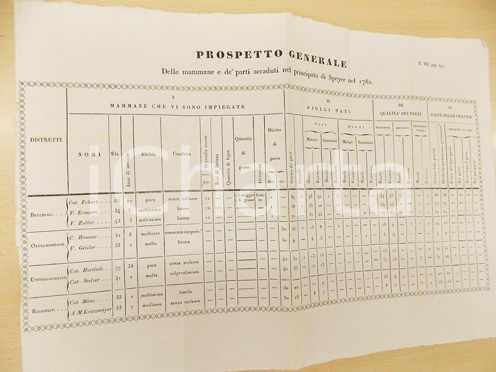 Documento originale, autentico 1830 ca POLIZIA MEDICA Prospetto mammane e parti nel principato di SPEYER Tavola 1