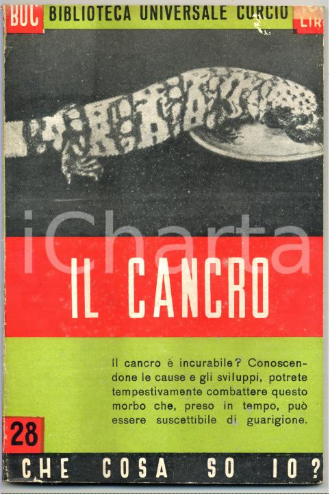 Libro, pubblicazione d epoca 1950 Ottavio CALZIMO Il cancro BUC Biblioteca Universale Curcio n.28 1