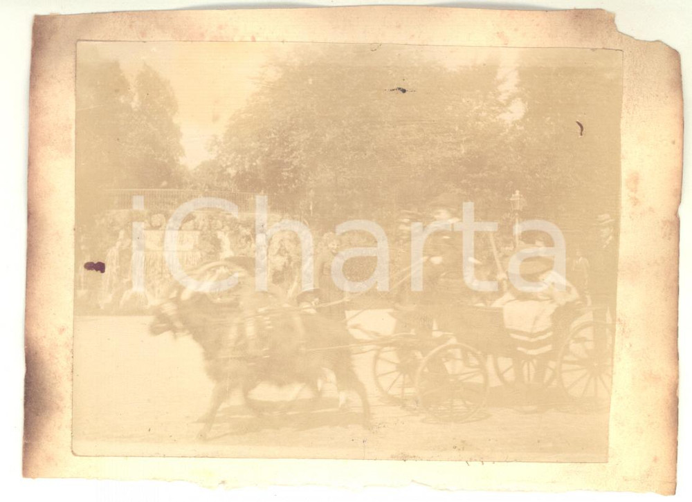 Fotografia d epoca originale 1900 ca MILANO Bambini su calesse trainato da caproni  Foto CURIOSA 13x10 cm 1