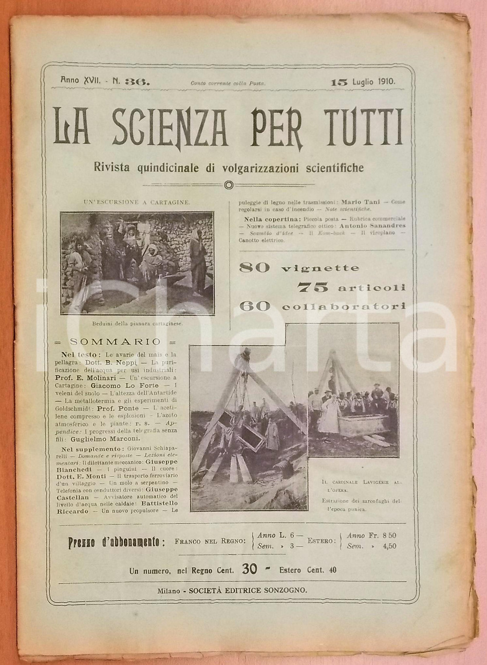 Giornale, rivista storica 1910 LA SCIENZA PER TUTTI Le avarie del mais e la pellagra Rivista nÂ° 36 1