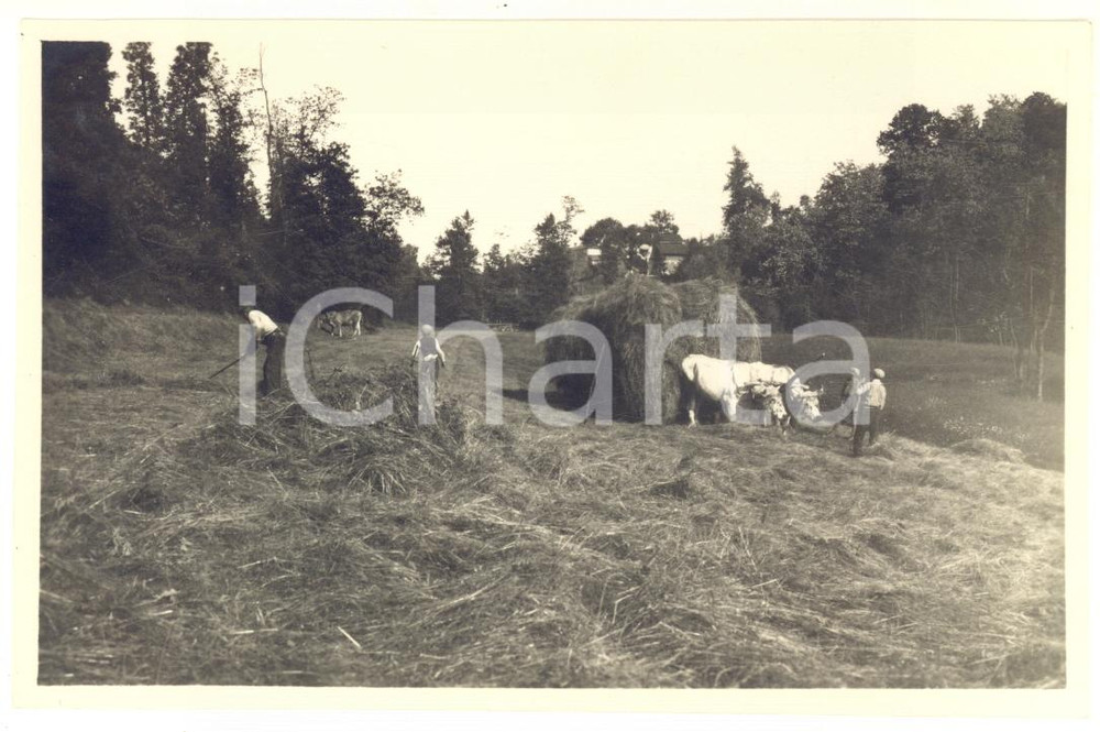 Fotografia d epoca originale 1931 NOVI LIGURE Famiglia contadina durante i lavori campestri  Foto 14x9 cm 1