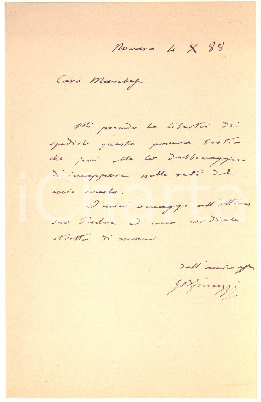Autografo originale 1888 NOVARA Lettera Giovan Battista FINAZZI per invio cacciagione  AUTOGRAFO 1