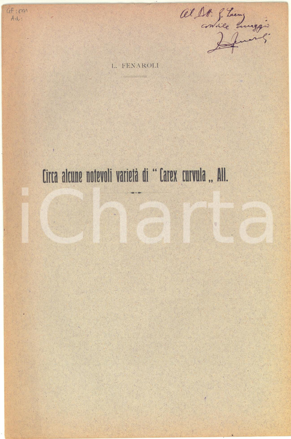 1924 Luigi FENAROLI Circa alcune notevoli varietÃ  di "Carex curvula" - AUTOGRAFO Pubblicazione d'epoca, con invio autografo in copertina.Estratto dal "Bullettino della Societ&agrave; Botanica Italiana" - Aprile 1926.CONDIZIONI: G (ma lievi ingiallimenti marginali)PAGINE: 4    originale e autentica 1