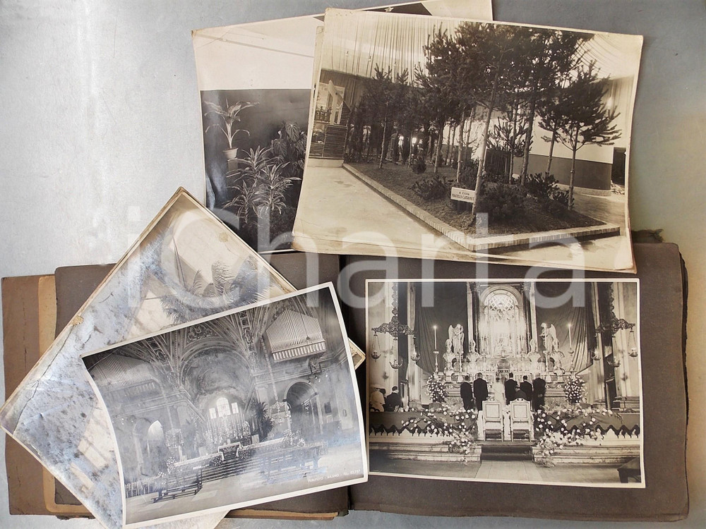 Fotografia d epoca originale 1940 ca MILANO Ditta Fratelli CATTANEO piante e fiori  Album foto allestimenti 1