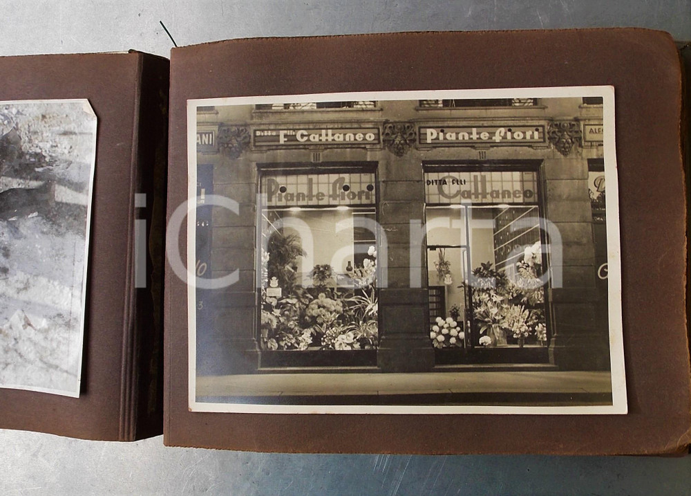 Fotografia d epoca originale 1940 ca MILANO Ditta Fratelli CATTANEO piante e fiori  Album fotografico 1