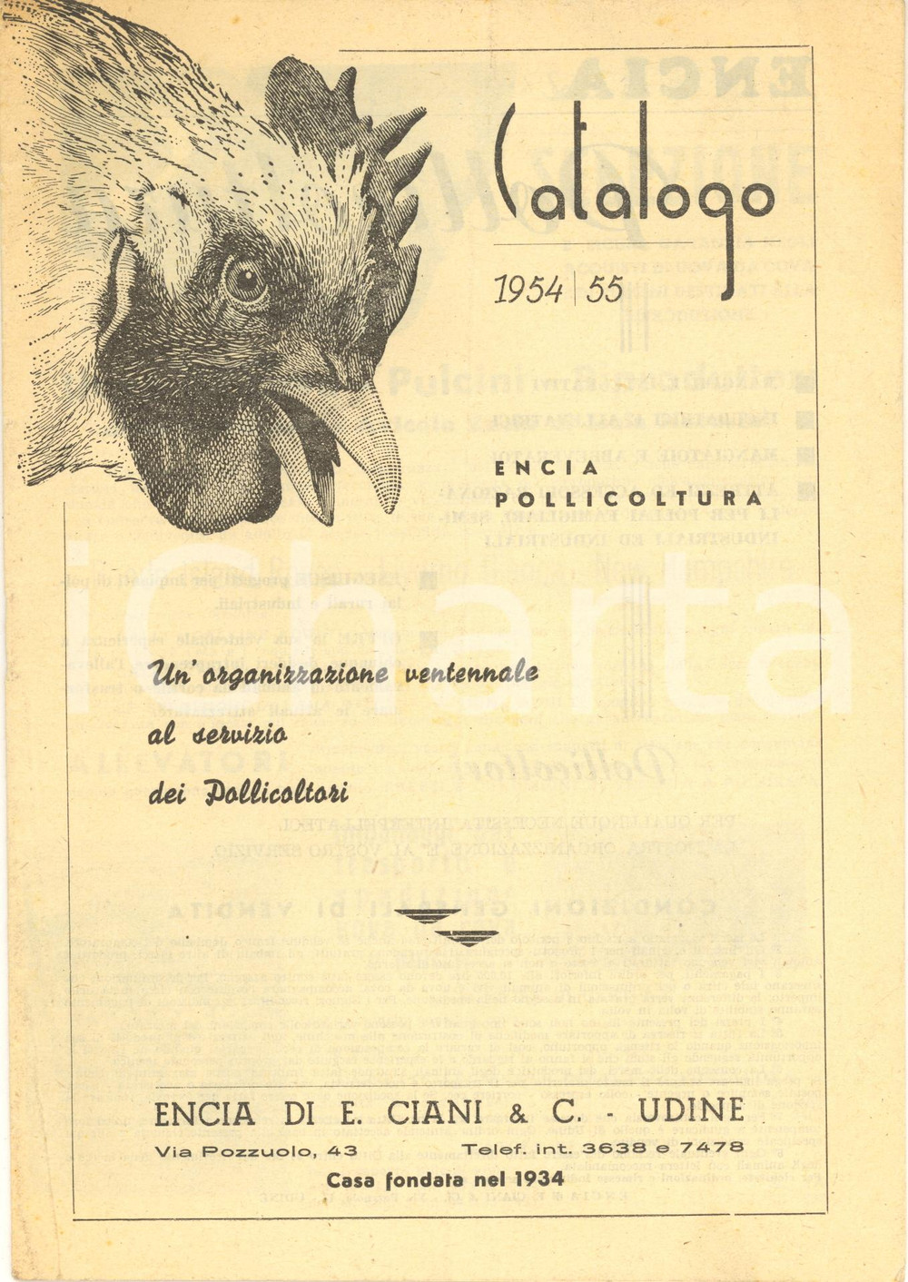 1954 UDINE Ditta ENCIA di E. CIANI Pollicoltura - Catalogo illustrato 22 pp.  Catalogo illustrato b/n.CONDIZIONI: FAIR (lievi piegature, una delle quali interessa l'intero fascicolo in verticale)PAGINE: 22    originale e autentica 1