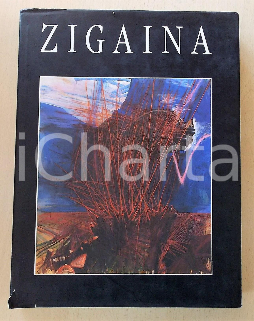Libro, pubblicazione d epoca 1990 Floriano DE SANTI Giancarlo PAULETTO  Zigaina  Edizioni Concordia Sette 1