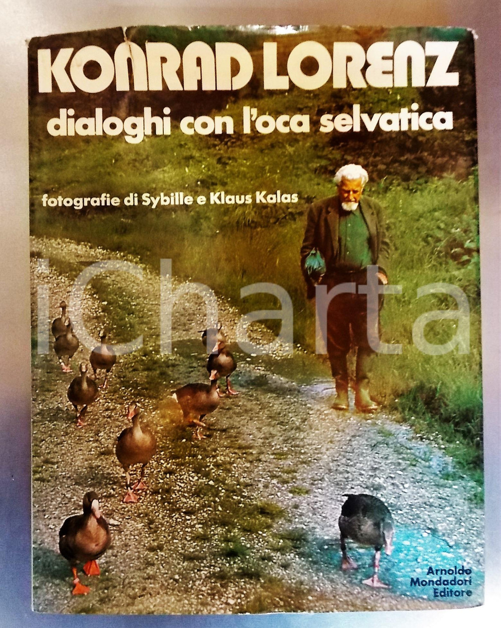 Libro, pubblicazione d epoca 1979 Konrad LORENZ Dialoghi con l oca selvatica  Foto di Sybille e Klaus KALAS 1