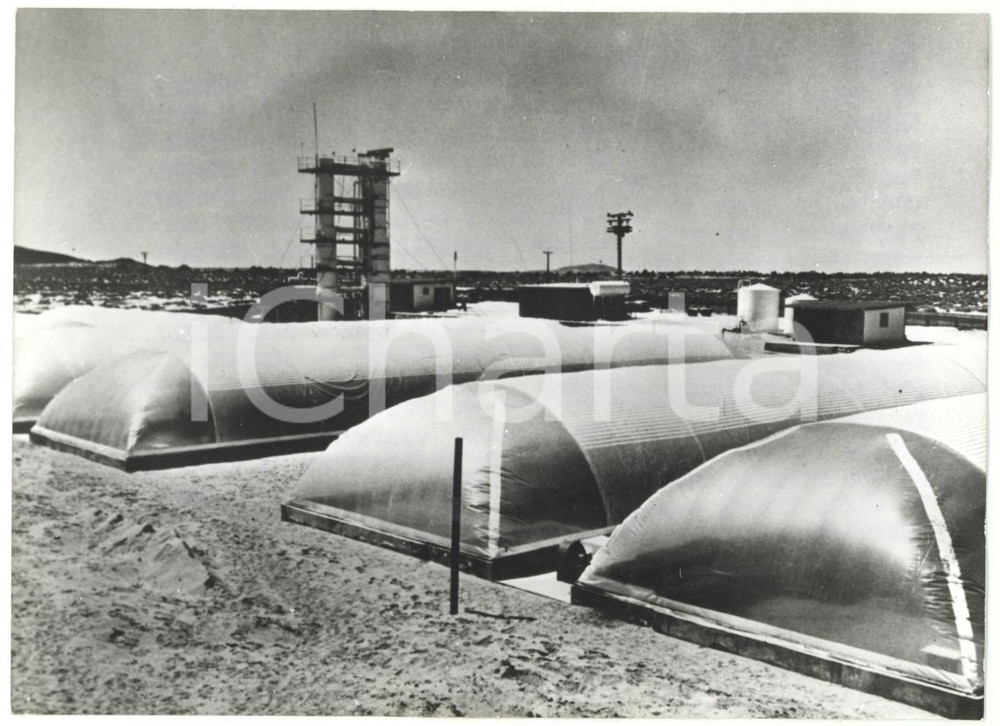 1971 CALIFORNIA (USA) Innovative serre irrigate con acqua di mare - FOTO 18x13 