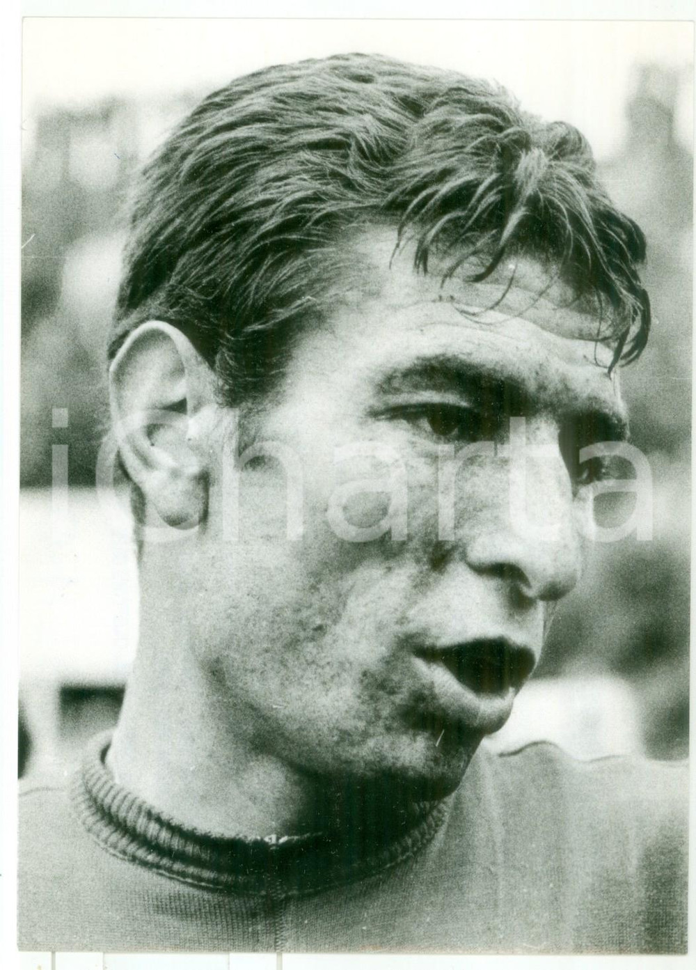 1968 BERGAMO - CICLISMO Ritratto di Felice GIMONDI *Foto 13x18 cm