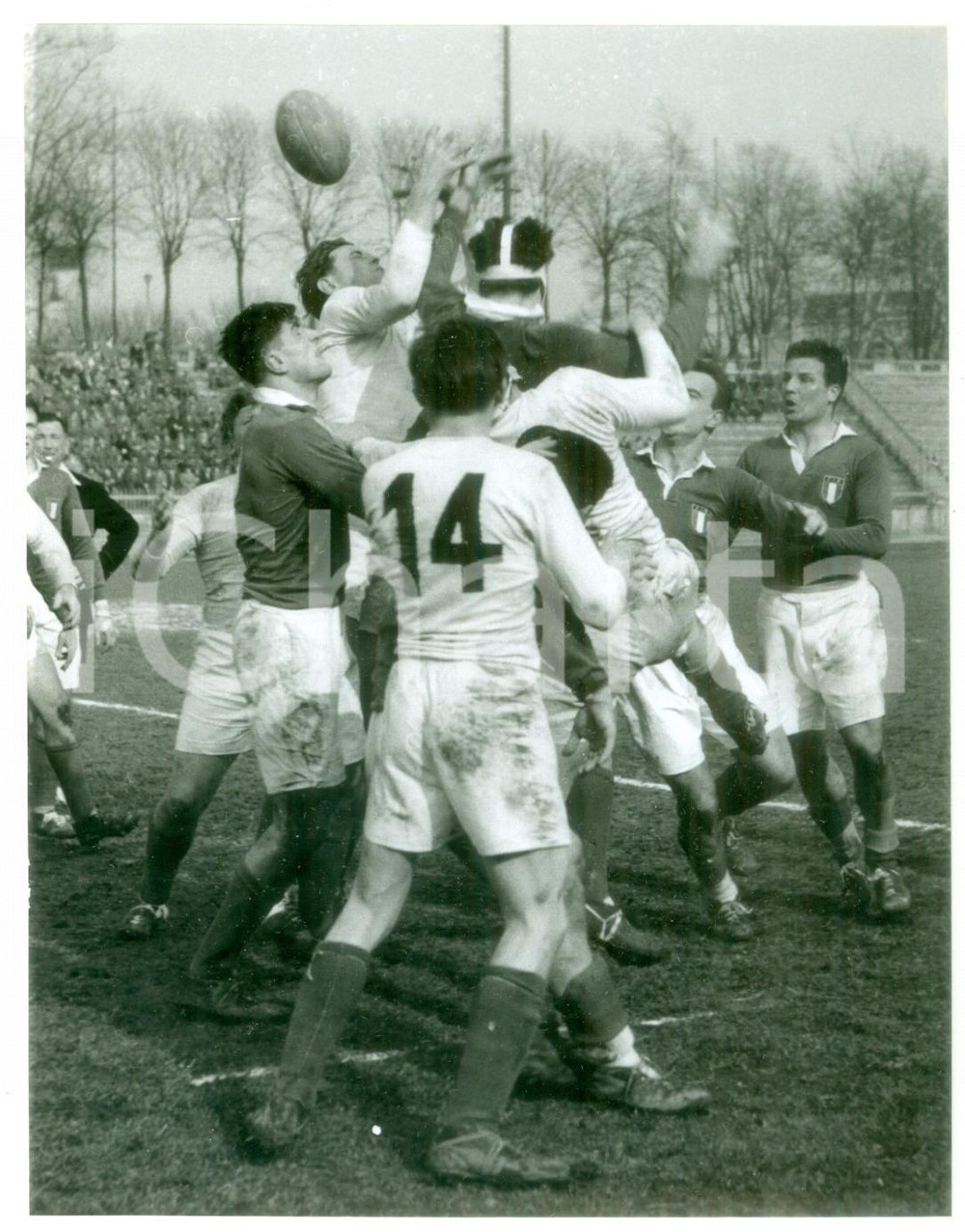1955 ARENA DI MILANO - RUGBY A 15 ITALIA-GERMANIA 24-8 - Pallone conteso *FOTO