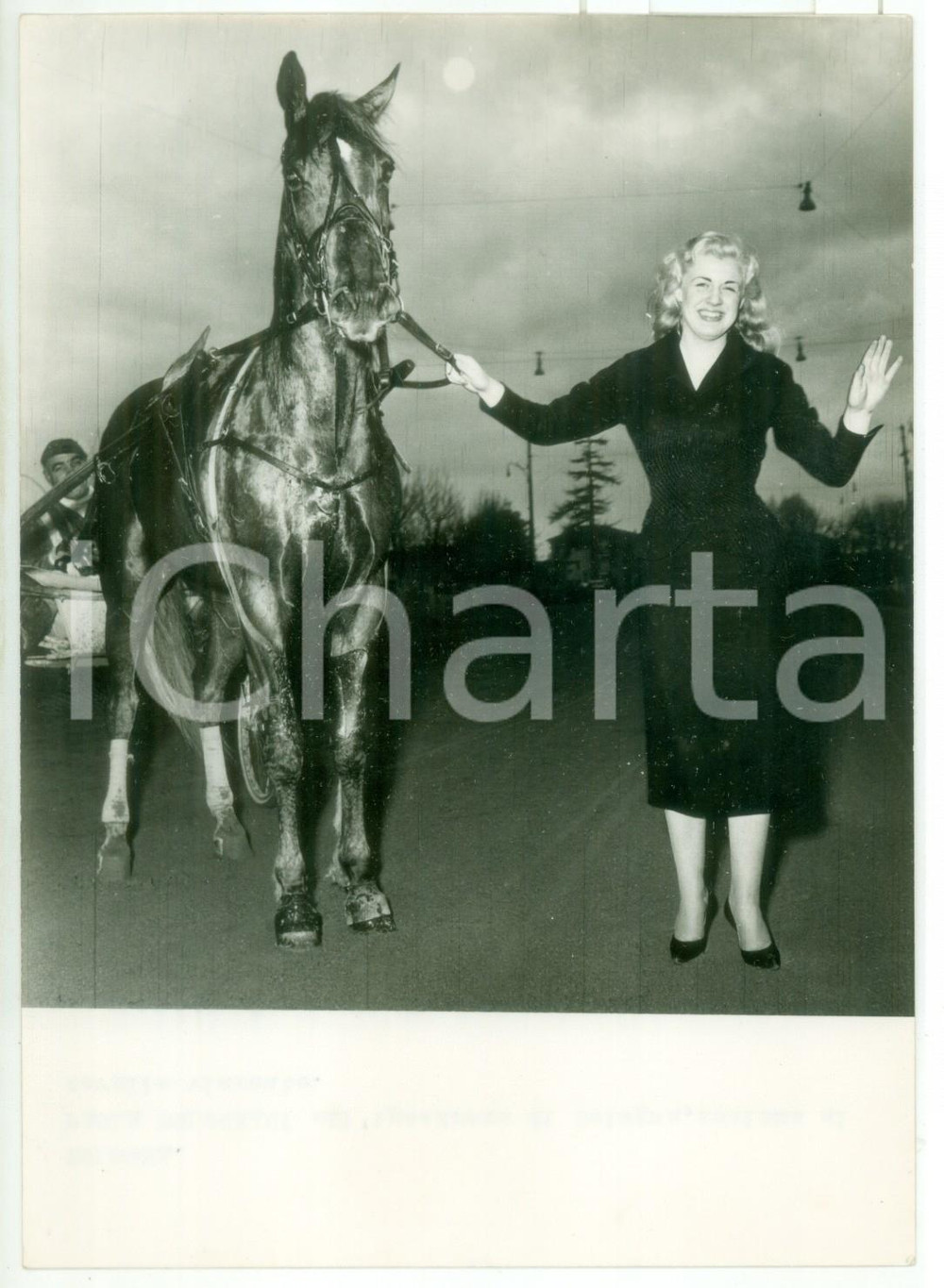 1955 ca IPPODROMO DI BOLOGNA Paola BOLOGNANI al fianco di un cavallo *Foto 13x18