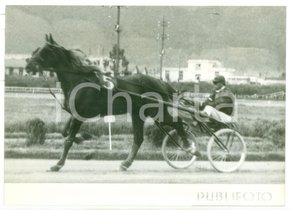 1958 IPPODROMO DI AGNANO Corsa dei milioni - TORNESE taglia il traguardo *Foto