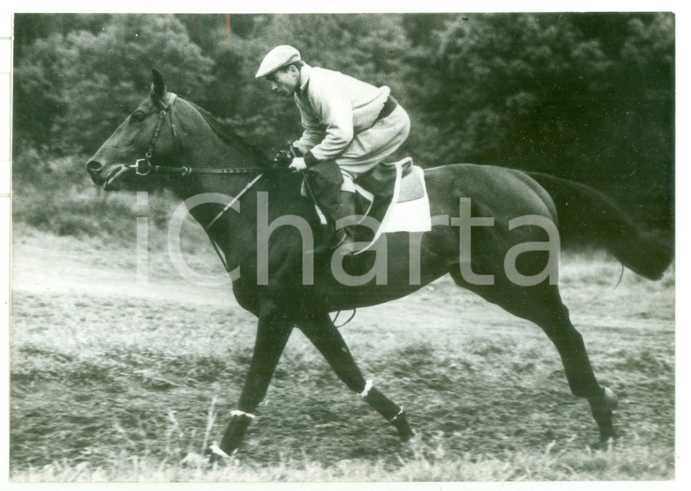 1956 EPSOM DERBY - IPPICA Purosangue LAVANDIN vincitore della corsa *Foto 18x13