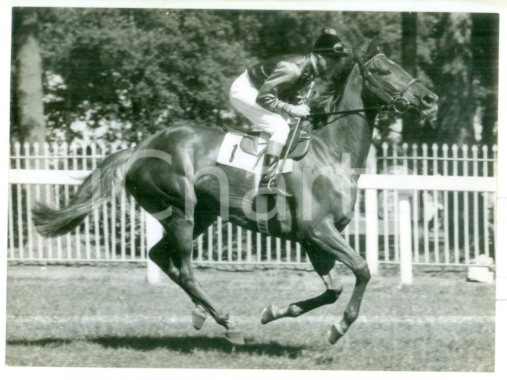 1957 LONDON Harry CARR in the saddle of Queen's filly ALMERIA *Photo 20x15