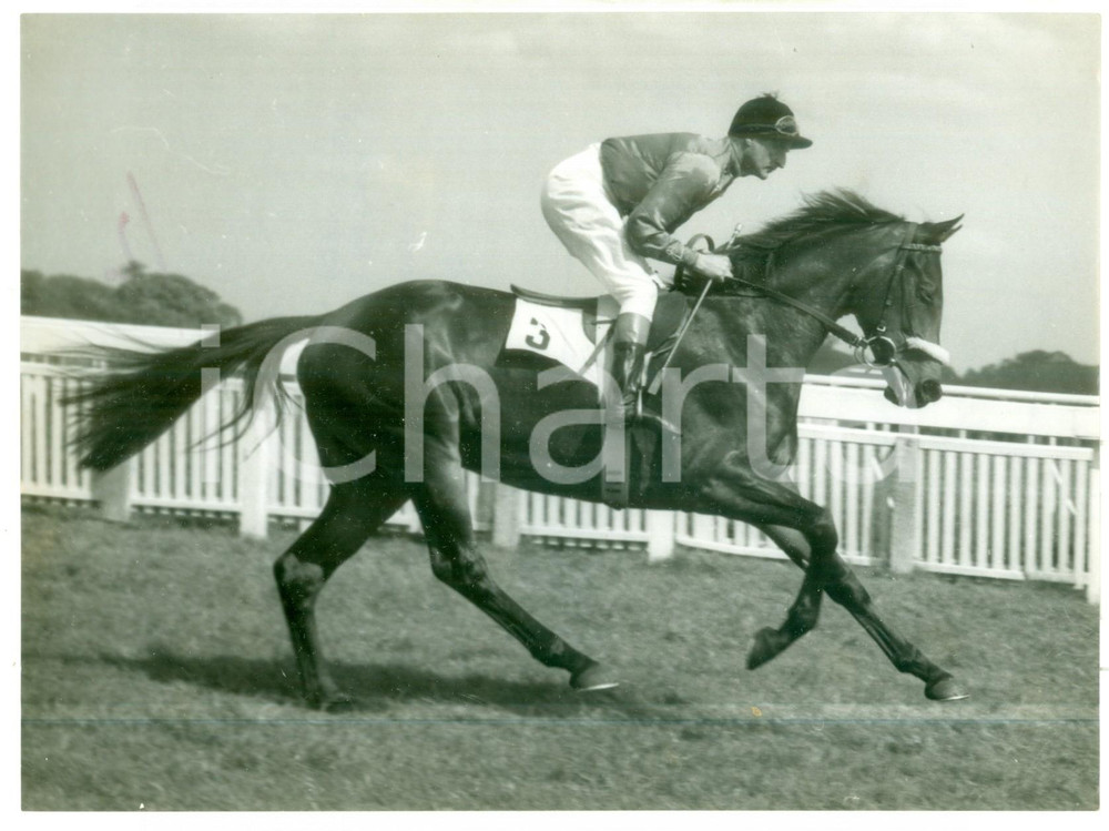 1957 LONDON Harry CARR riding the Queen's filly MIGHT AND MAIN *Photo 20x15