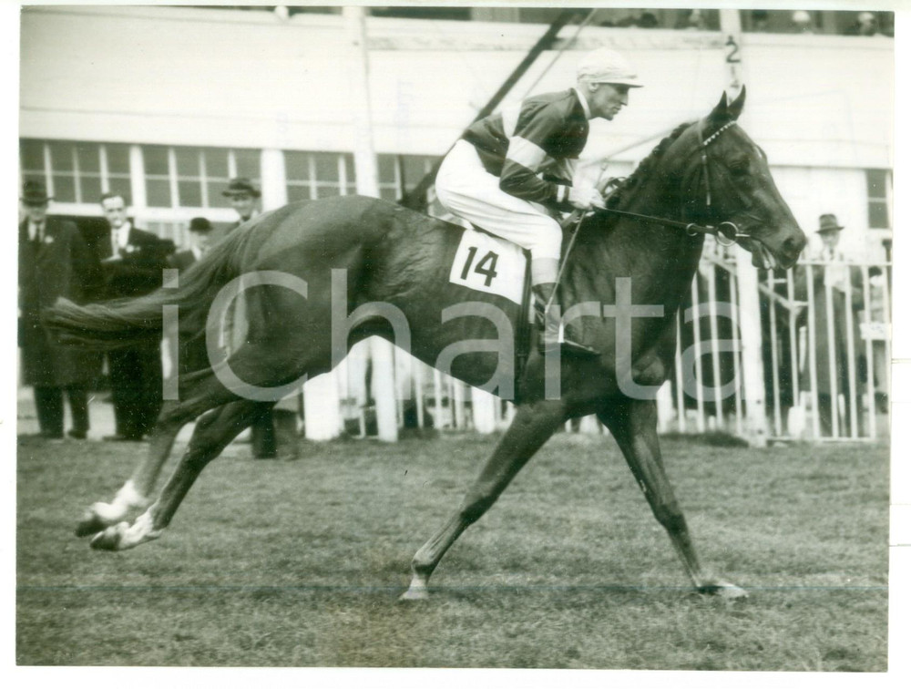 1954 EPSOM DERBY Scobie BREASLEY riding the colt ICARIAN *Photo 20x15