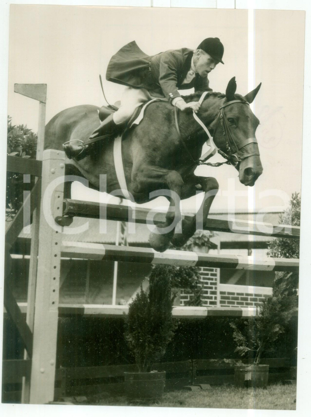 1956 LONDON King George V Challenge Cup - Peter ROBINSON jumping with CRAVEN