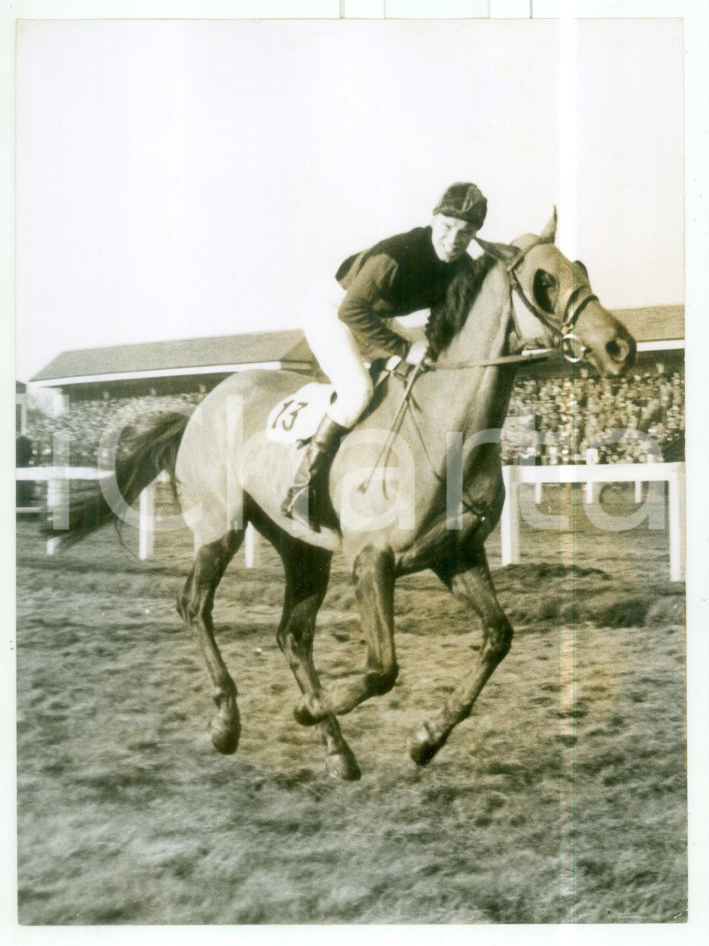 1959 AINTREE RACECOURSE Workout of Derek LESLIE in the saddle of PIPPYKIN *Photo
