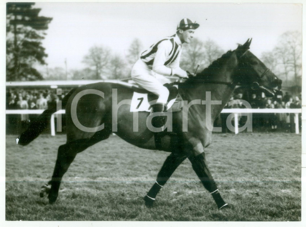 1959 AINTREE - VIGOR trained by Bill REES for Grand National *Photo 20x15