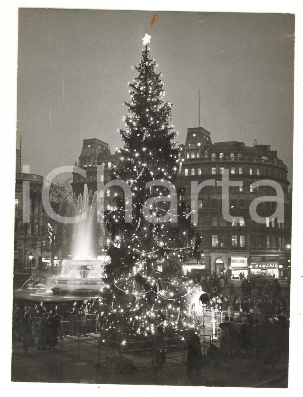 1960 LONDON Shiny Christmas tree in Trafalgar Square - Photo 15x20 cm