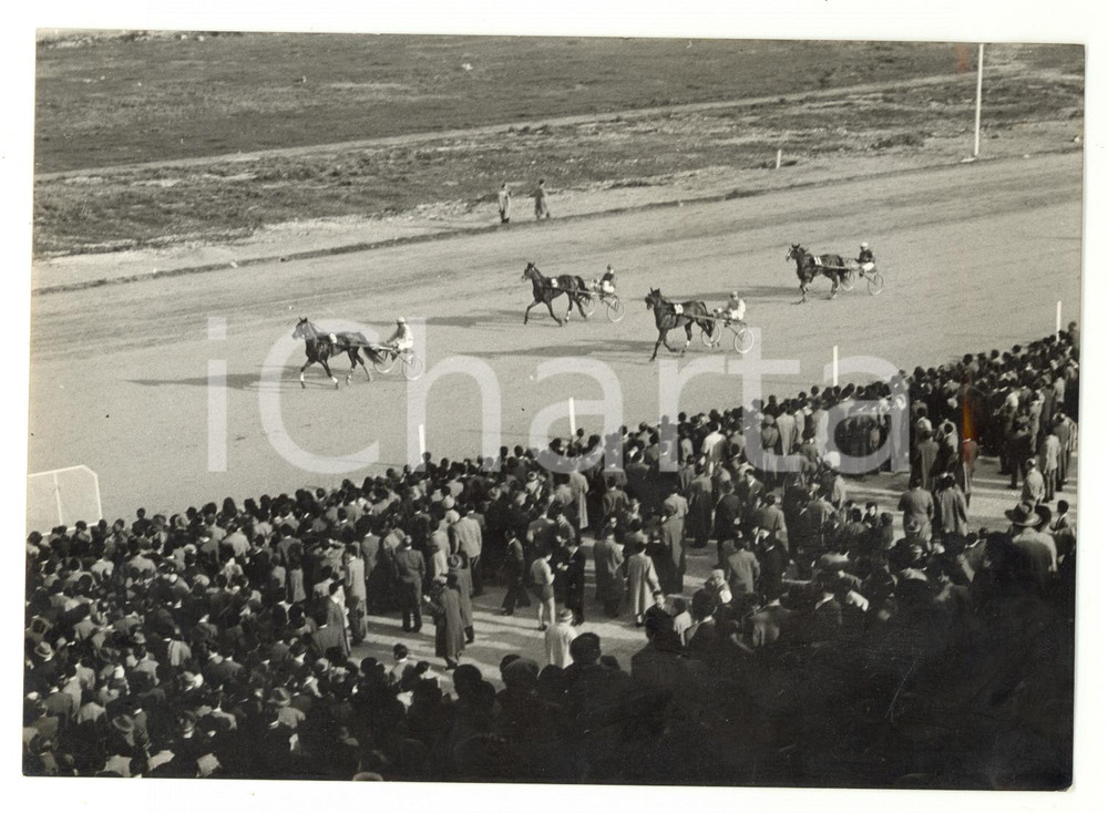 1953 PALERMO Ippodromo LA FAVORITA - La gara inaugurale *Foto 18x13 cm