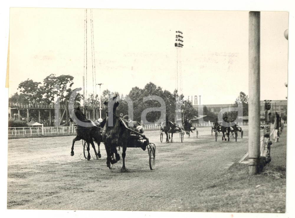 1954 TORINO Gran Premio SIP - ZIBELLINO taglia il traguardo *Foto