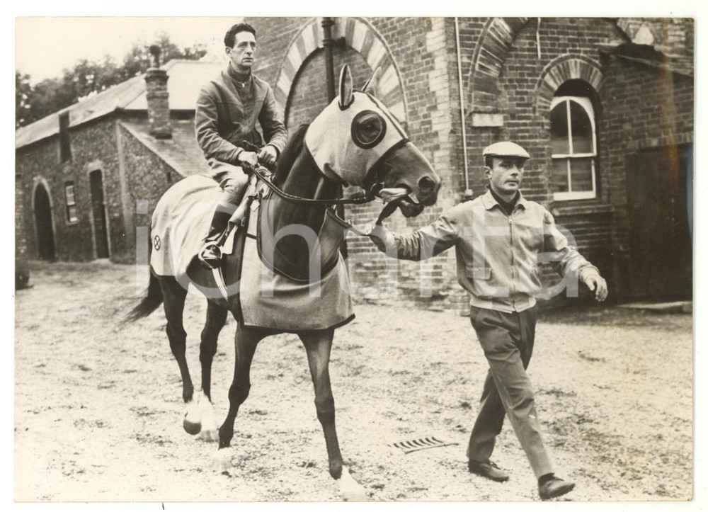 1962 DONCASTER - IPPICA Allenamento di ANTELAMI per il St Leger Stakes *Foto 
