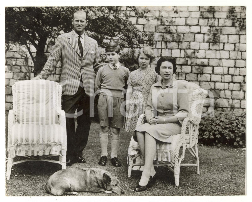 1959 WINDSOR CASTLE Portrait of ELIZABETH II with the Royal Family *Photo 20x15