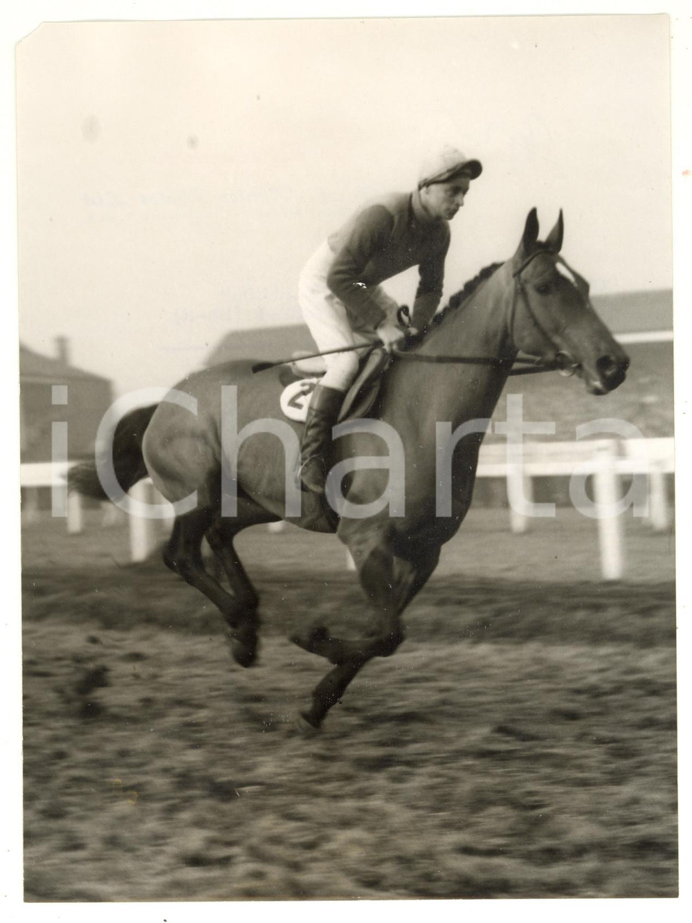 1956 CHELTENHAM Gold Cup - BRAMBLE TUDOR ridden by Dick CURRAN *Photo 15x20