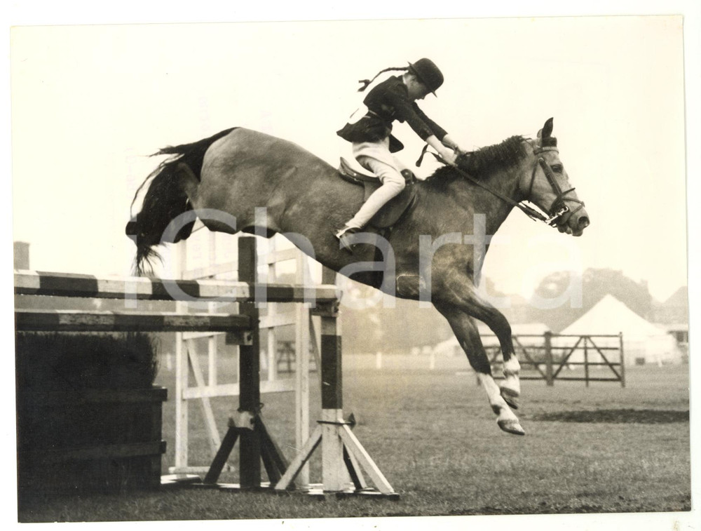 1956 RICHMOND Royal Horse Show - Jabeena MASLIN bringing LUNDY over the obstacle