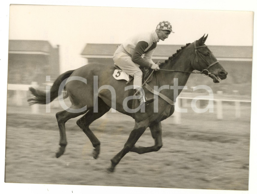 1956 AINTREE Grand National - Arthur Patrick THOMPSON riding MUCH OBLIGED *Photo