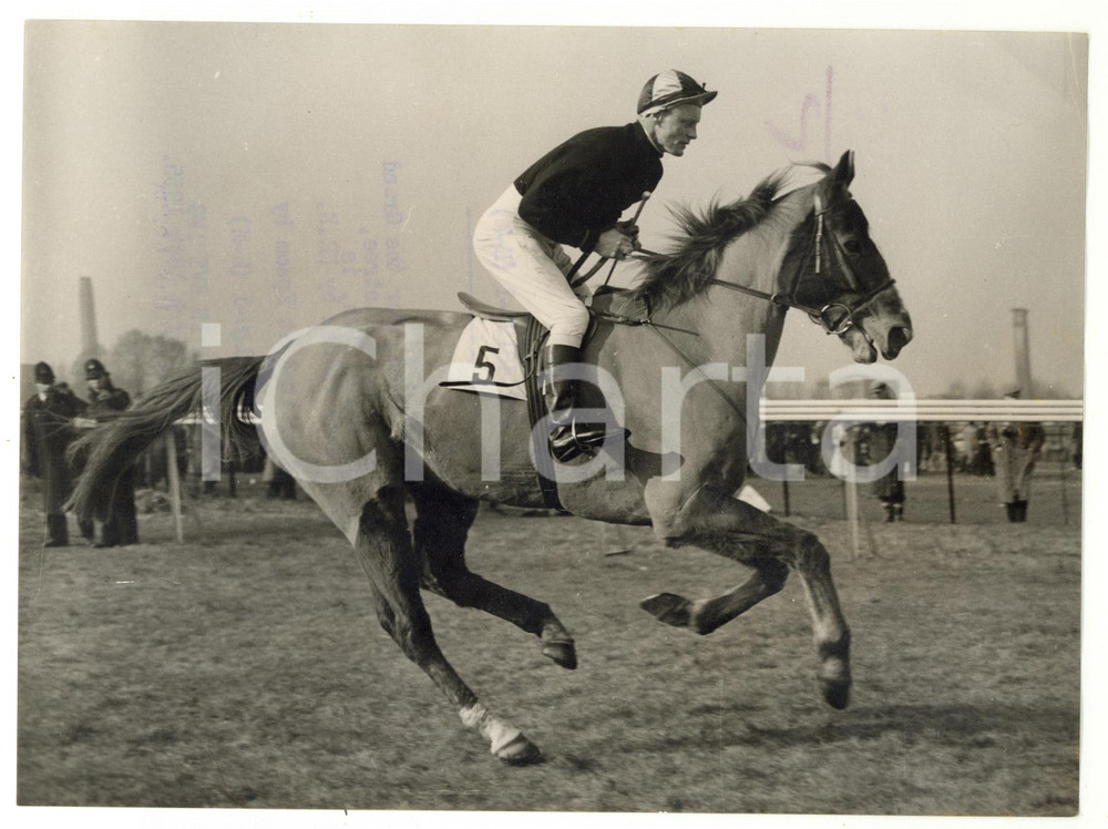 1955 AINTREE Grand National - BLUE ENVOY ridden by E. GREENWAY *Photo