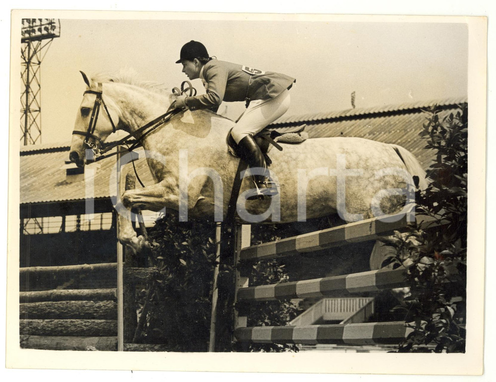 1955 LONDON International Horse Show - Pat SMYTHE taking a jump on TOSCA *Photo