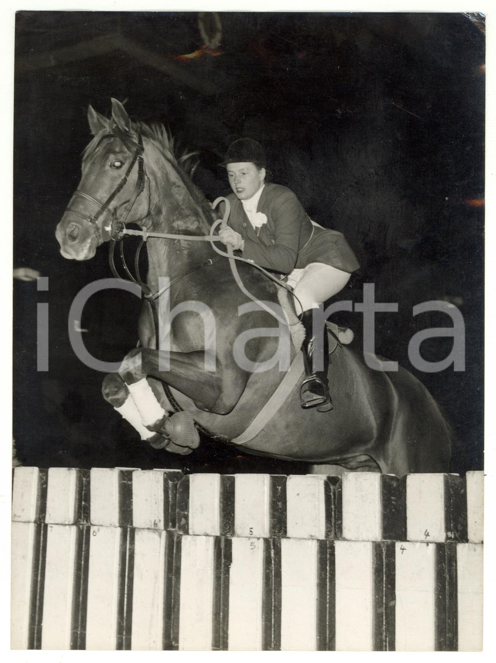 1955 LONDON Horse of the Year - Pat SMYTHE bringing PRINCE HAL over a fence
