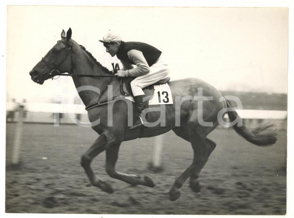 1956 AINTREE - KILNARABY trained by H. J. EAST for Grand National *Photo