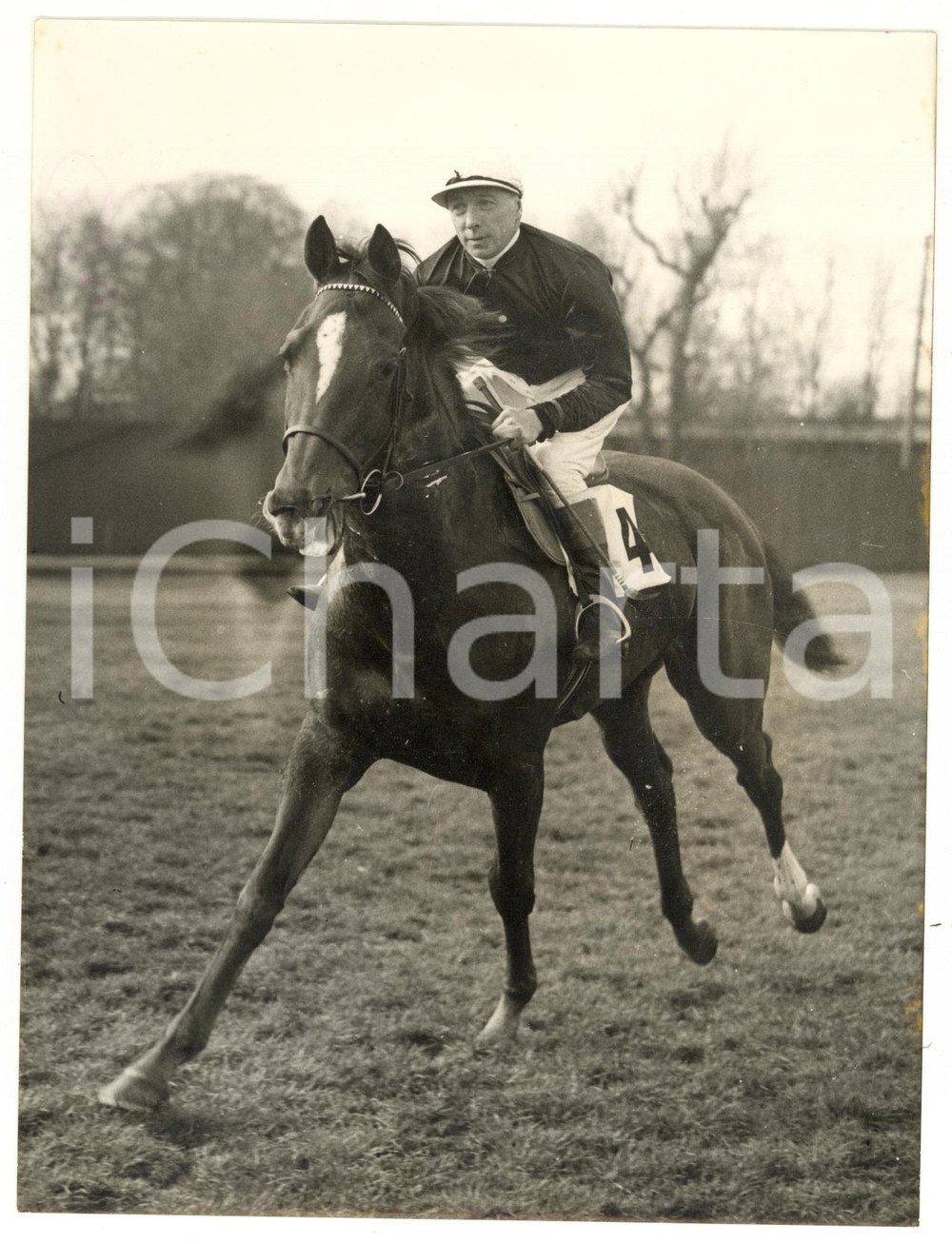 1955 NEWMARKET - ALEUTIAN trained by Doug SMITH for 1000 Guineas Stakes *Photo