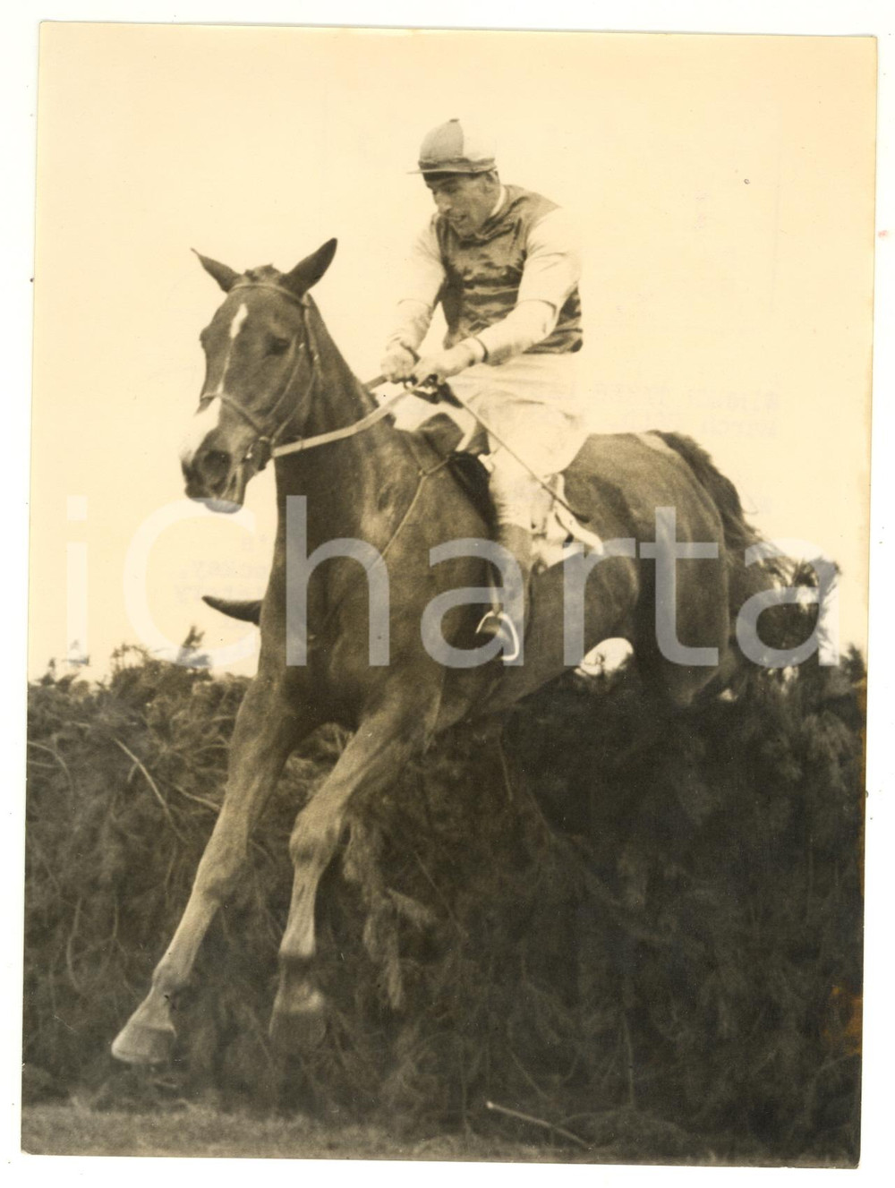 1953 AINTREE Grand National - EARLY MIST ridden by Bryan MARSHALL *Photo 15x20