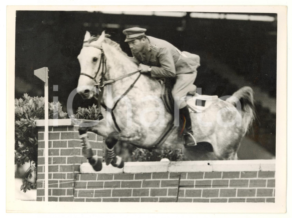 1953 LONDON International Horse Show - BRANDO ridden by Major MANZIN *Photo