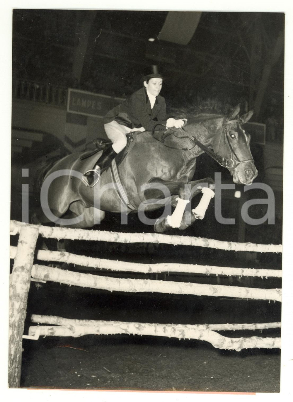 1953 GINEVRA Premio LONGINES - Natalie PERRONE durante la competizione 