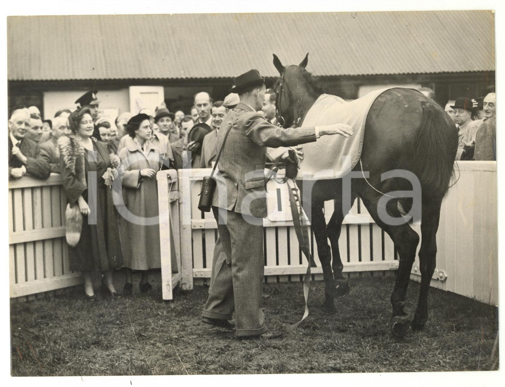 1953 LINGFIELD Blindley Heath Handicap - Queen MOTHER looking at M'AS-TU-VU
